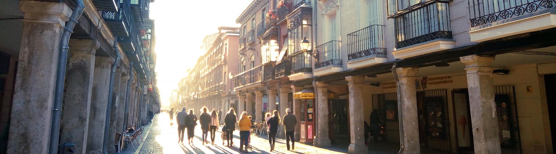tour Alcalá de Henares visita guiada a Alcalá de Henares